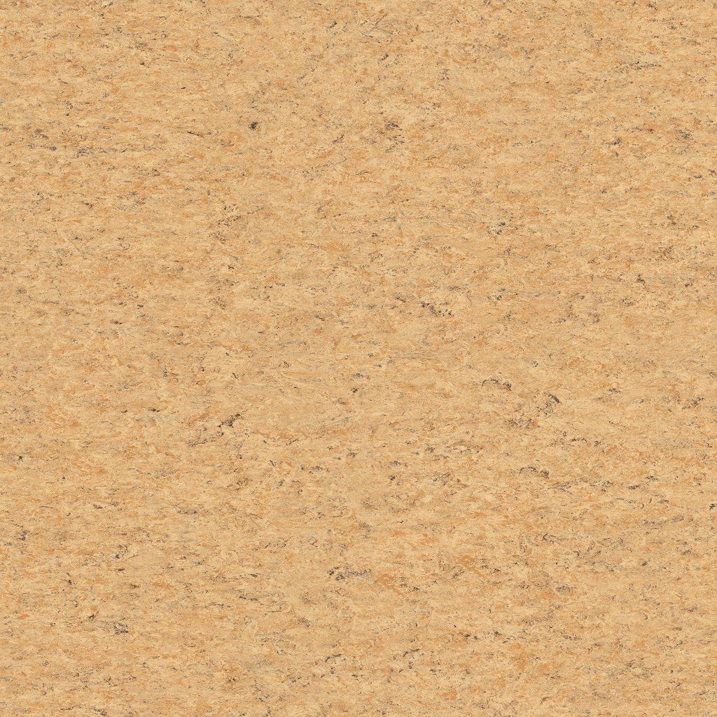XF 2,5MM 2679 Cork