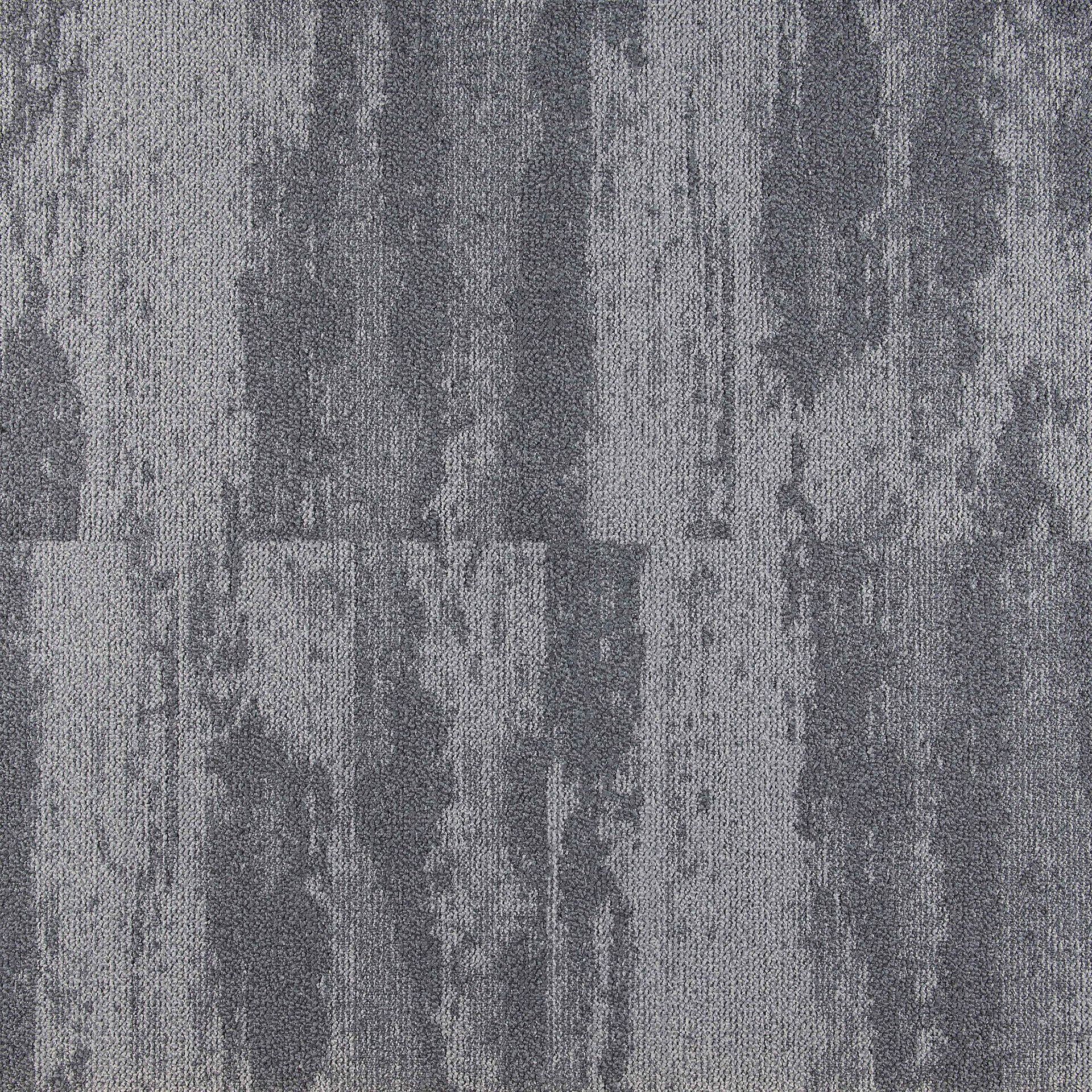 SHORELINE 65041