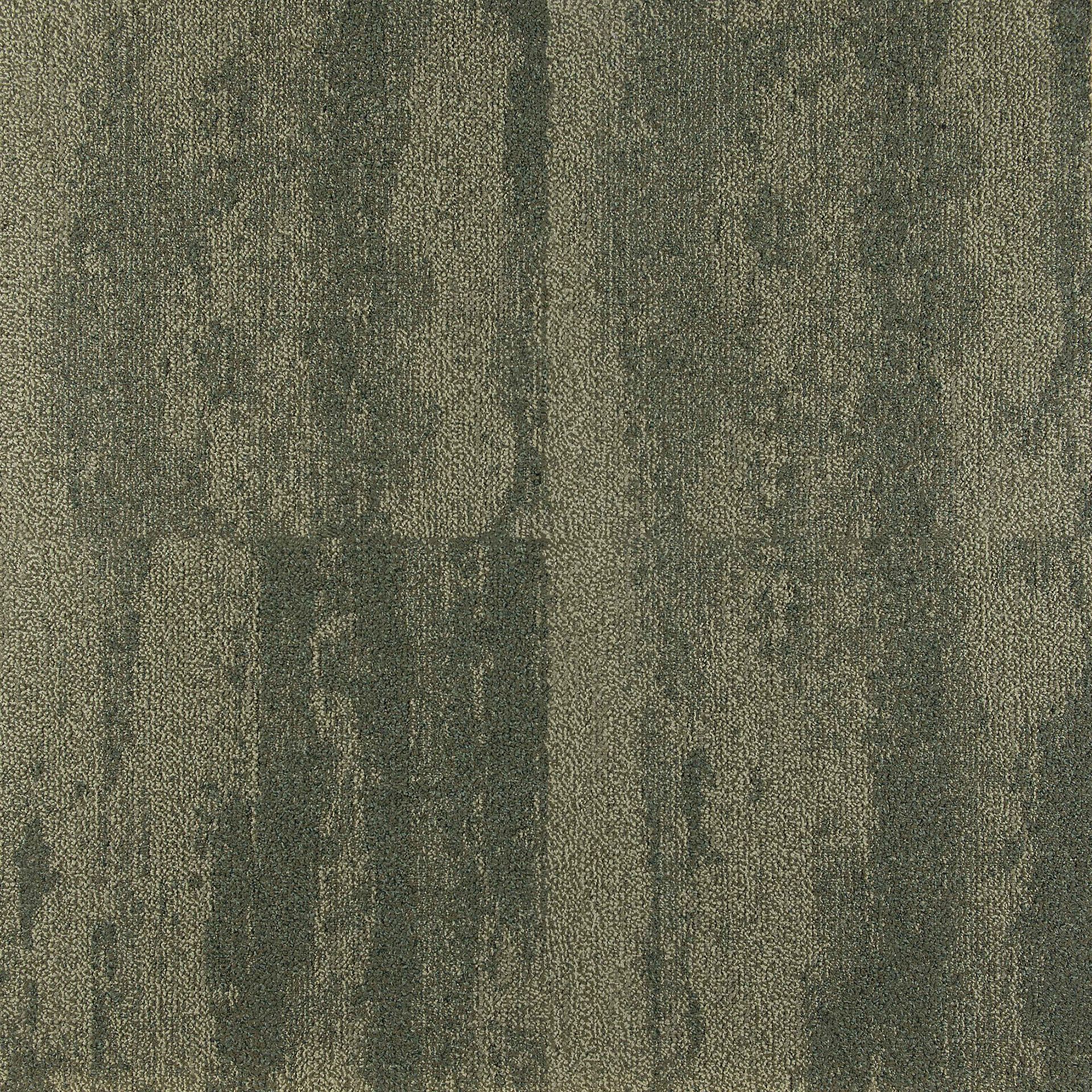 SHORELINE 65070
