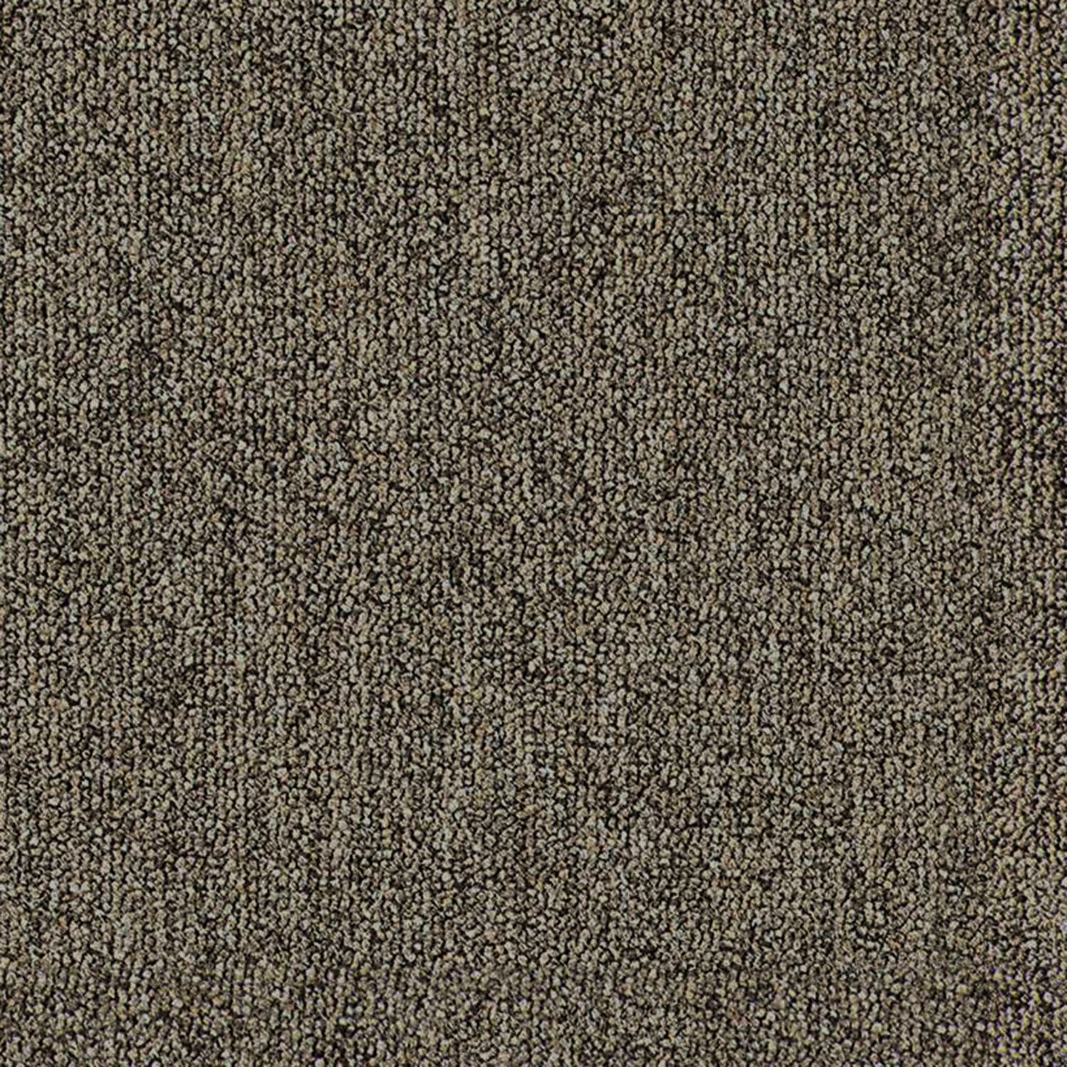 COUNTRY SDN 65231
