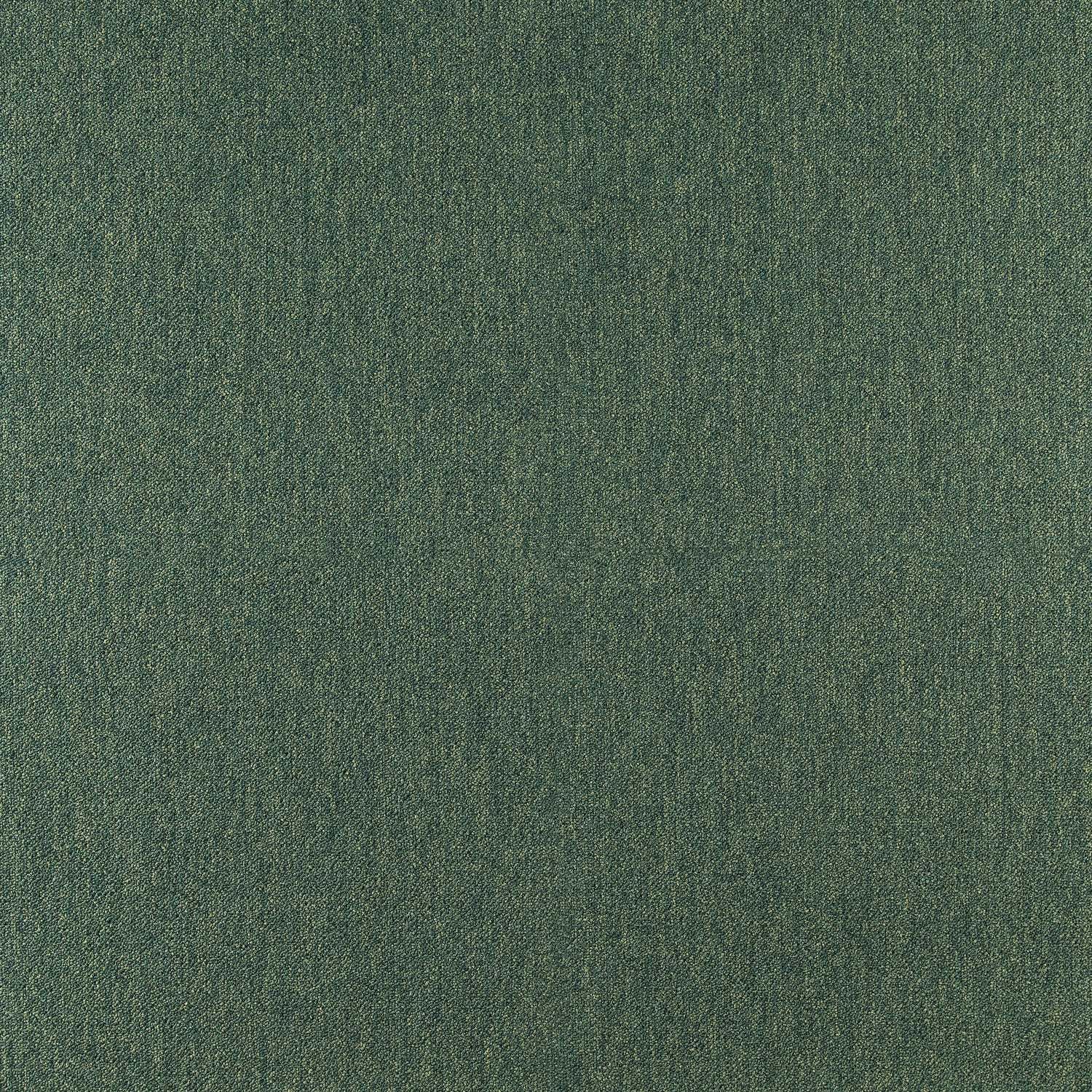 COBALT SDN 64070