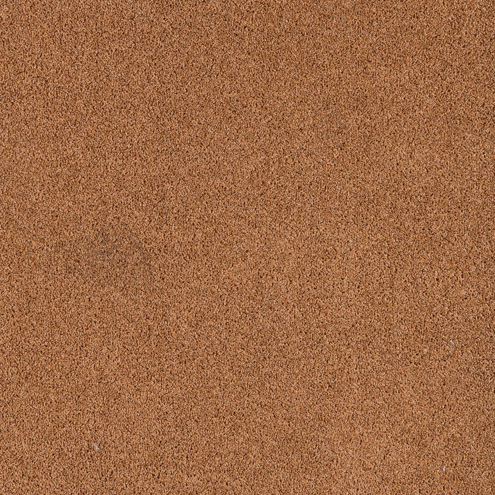 PRESIDENT E 65338