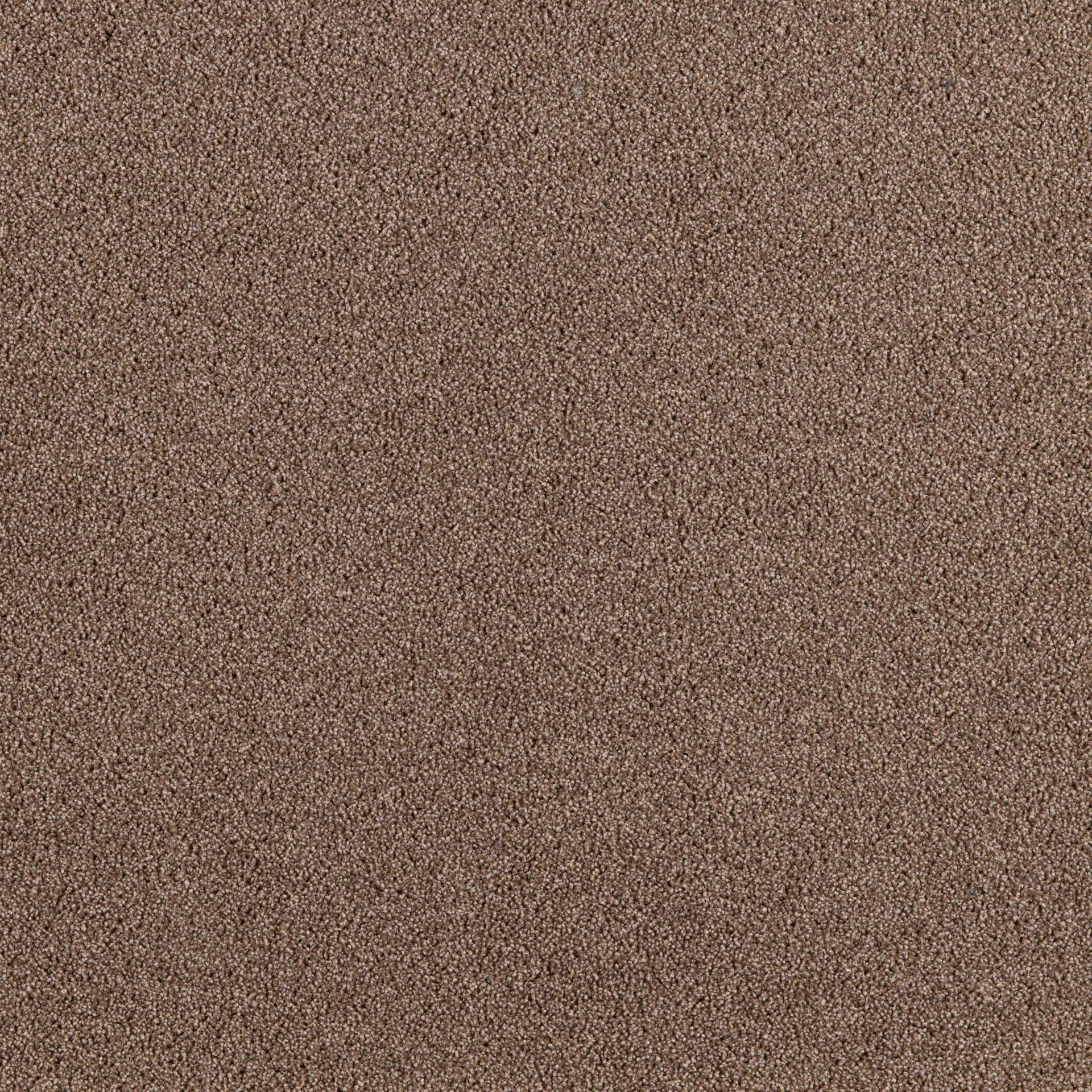 PRESIDENT E 65322