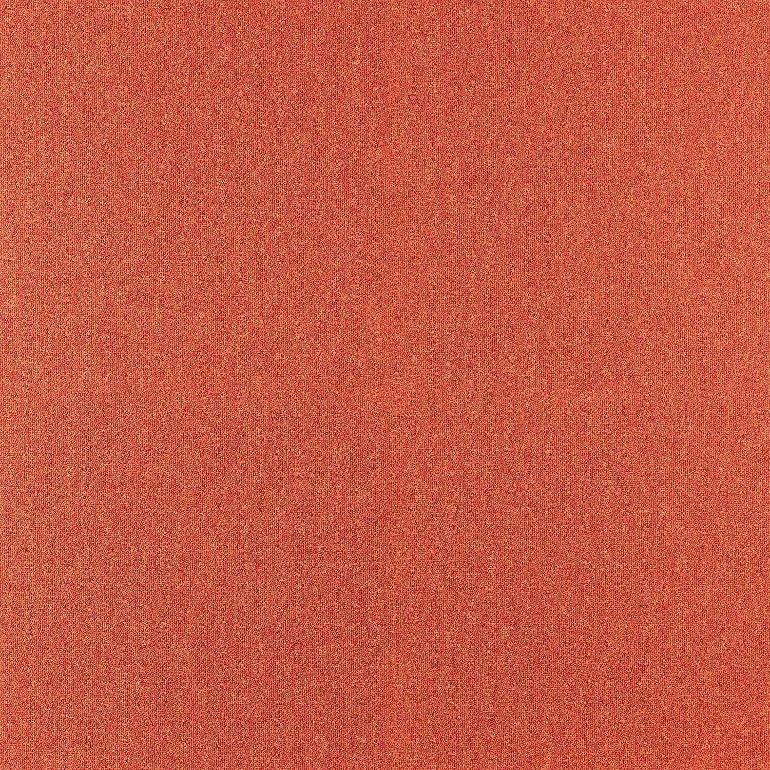 COBALT SDN 64038