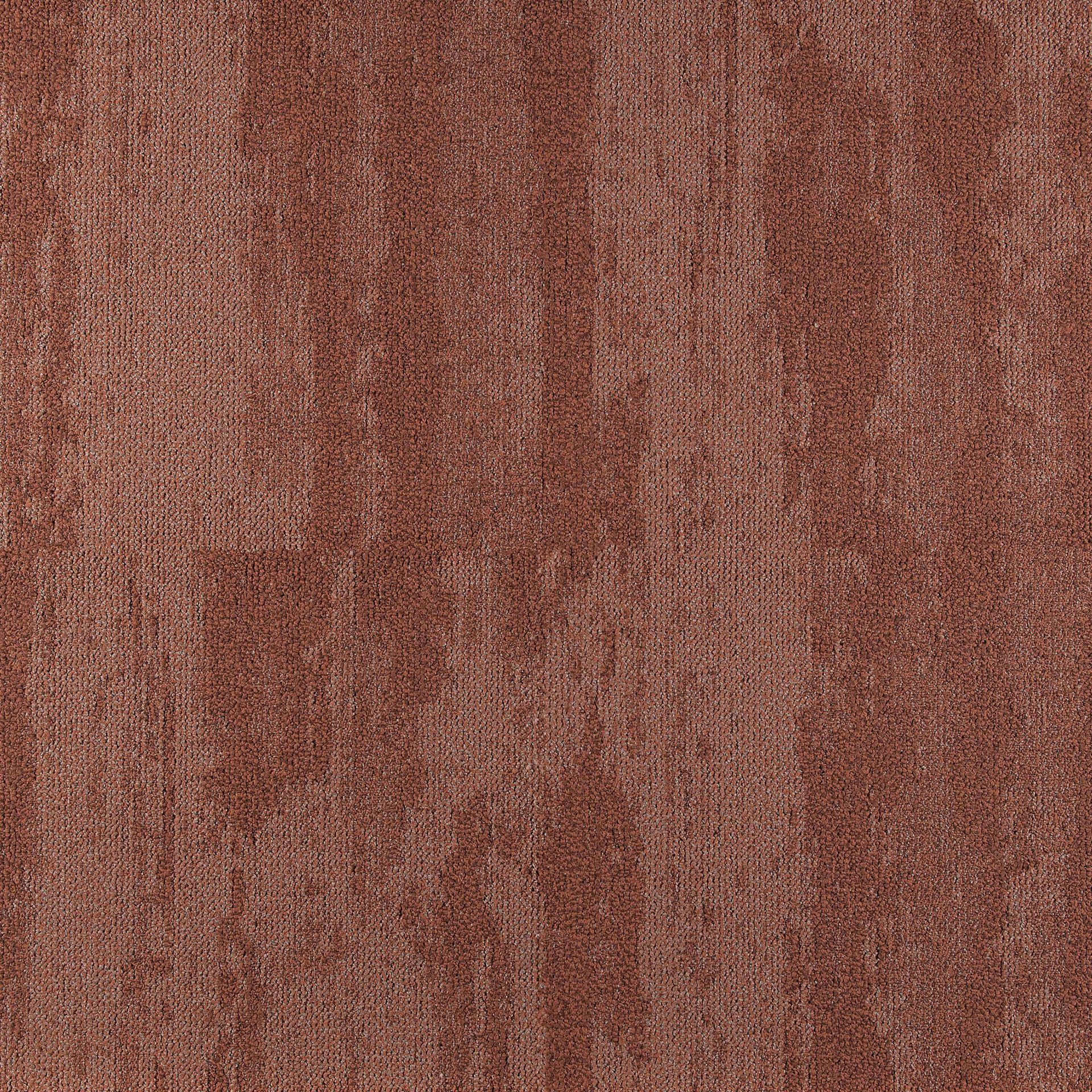 SHORELINE 65038