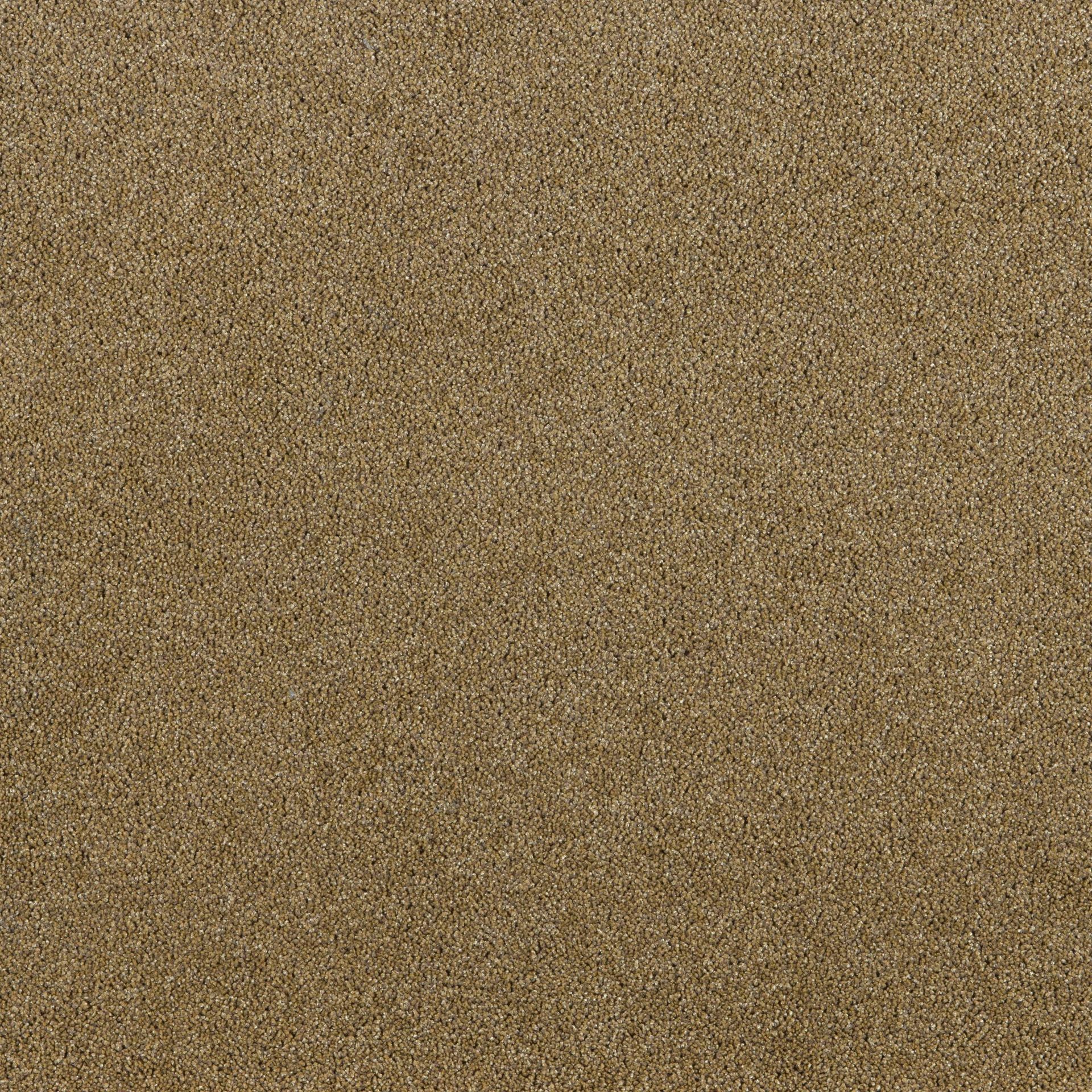 PRESIDENT E 65349