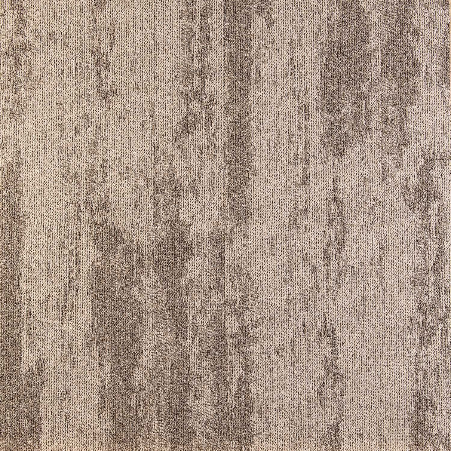 EXPRESSION 3120