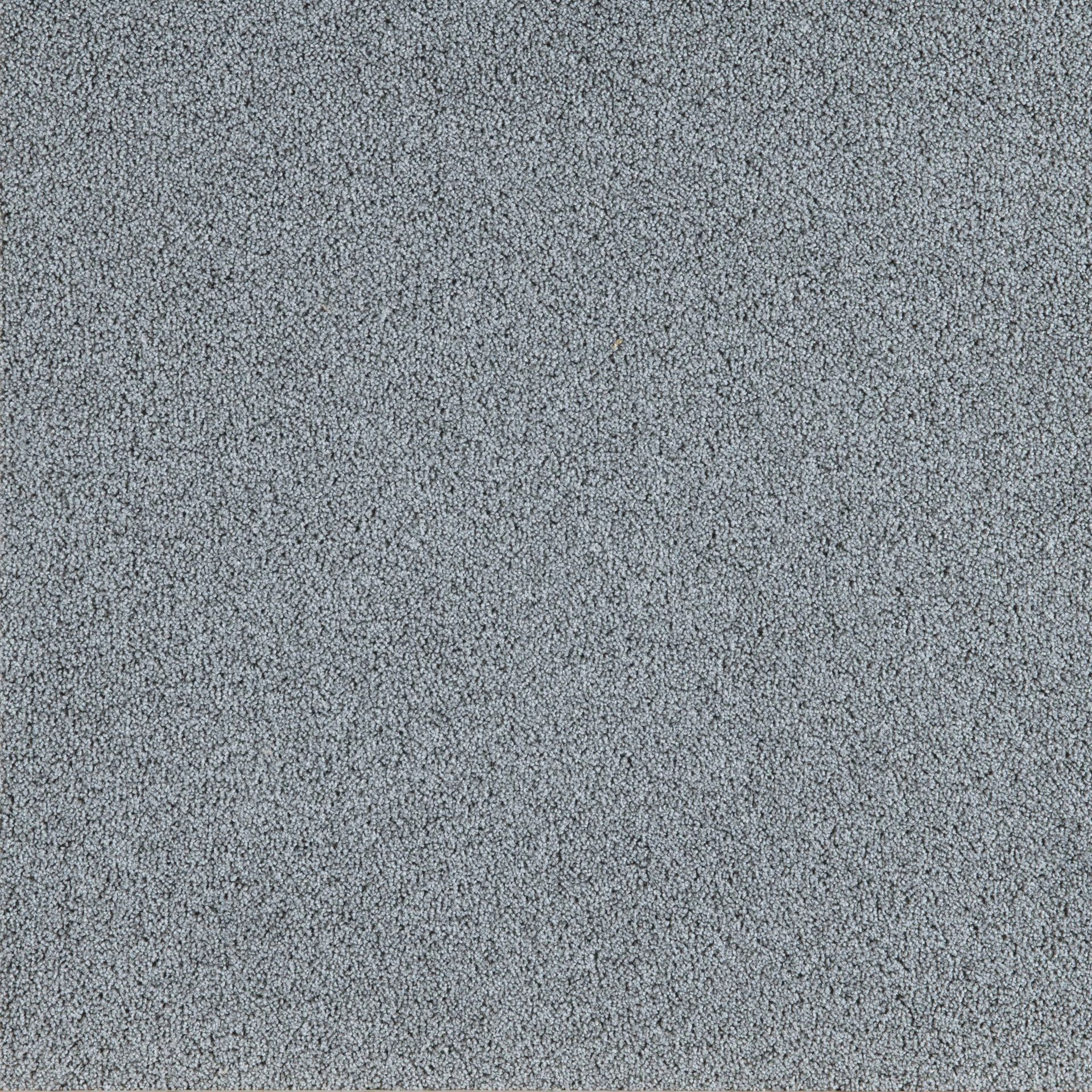 PRESIDENT E 65323