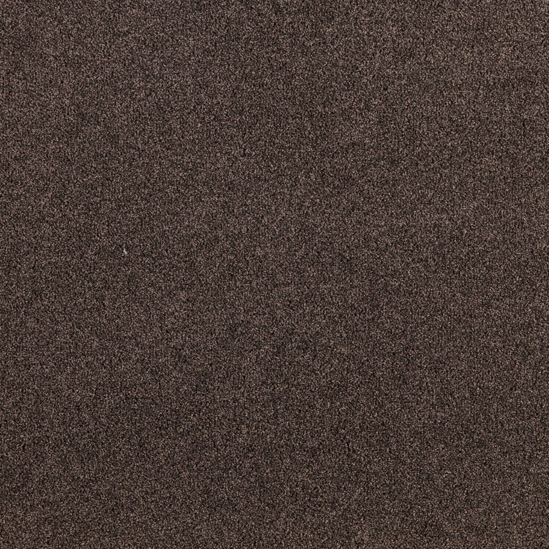 PRESIDENT E 65332