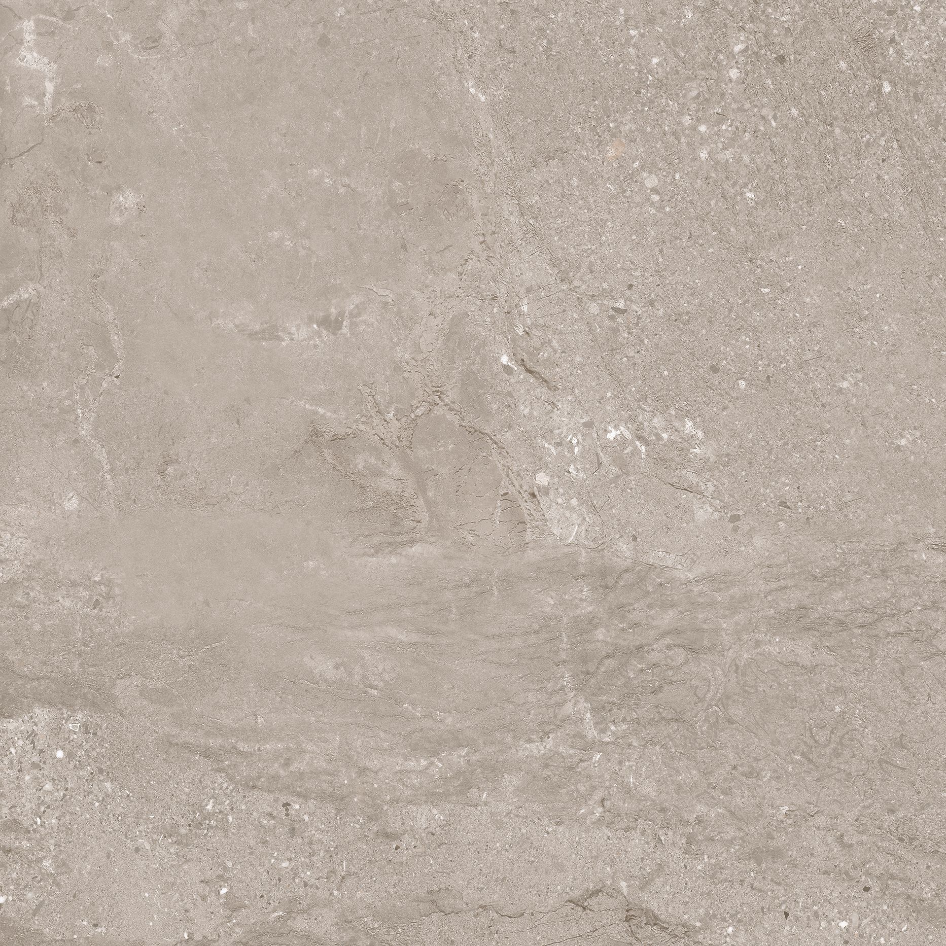 PRO FLUID GREY