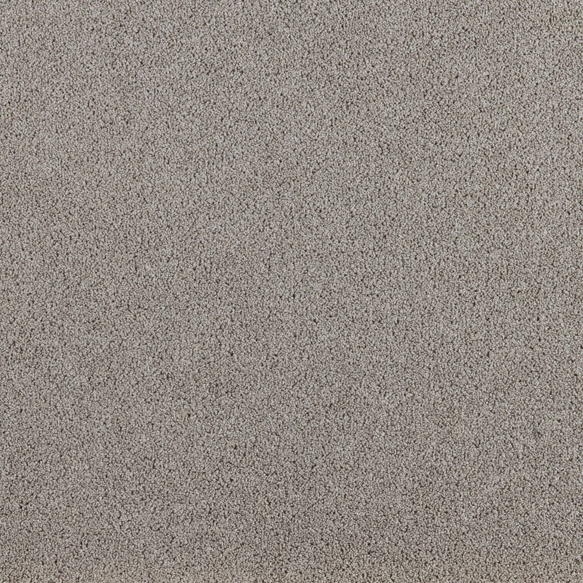 PRESIDENT E 65320