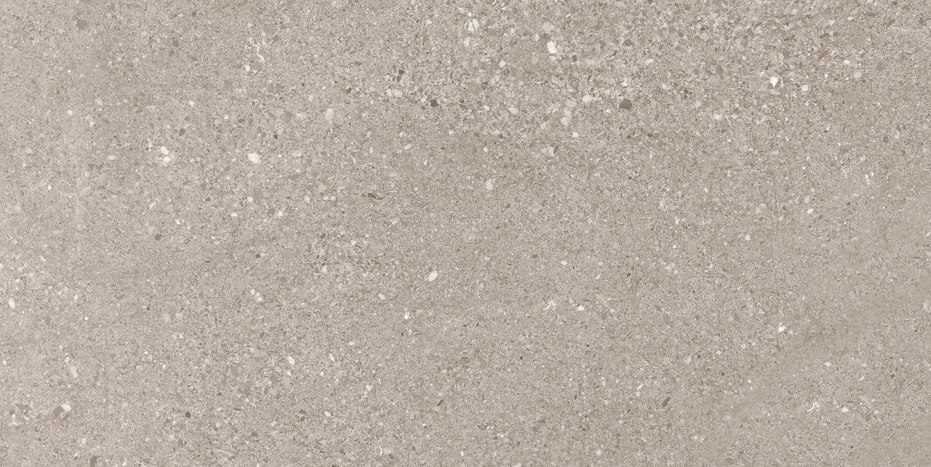 PRO FLUID GREY