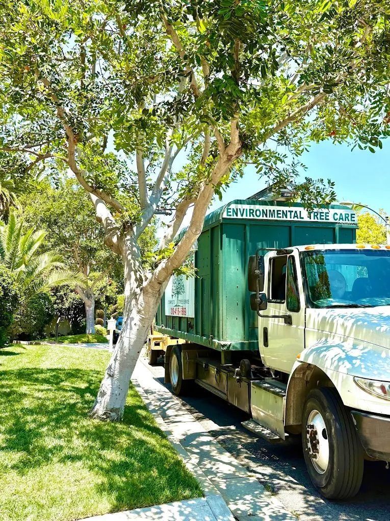 Green utility truck parked beside a tree on a sunny sidewalk in a grassy neighborhood.
