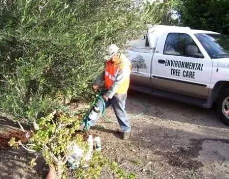 Worker trimming bushes beside an Environmental Fire Care truck