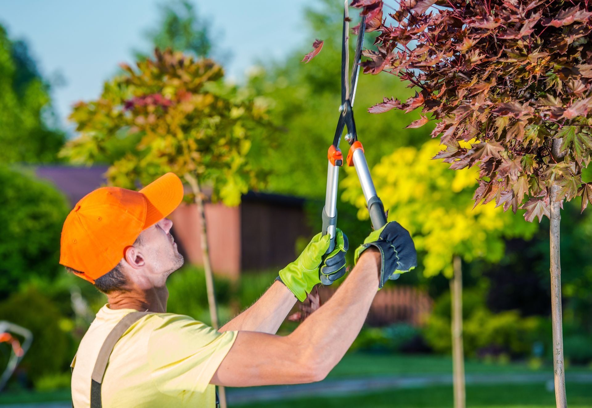 Orange chainsaw cutting into a rotting tree stump outdoors in a wooded area