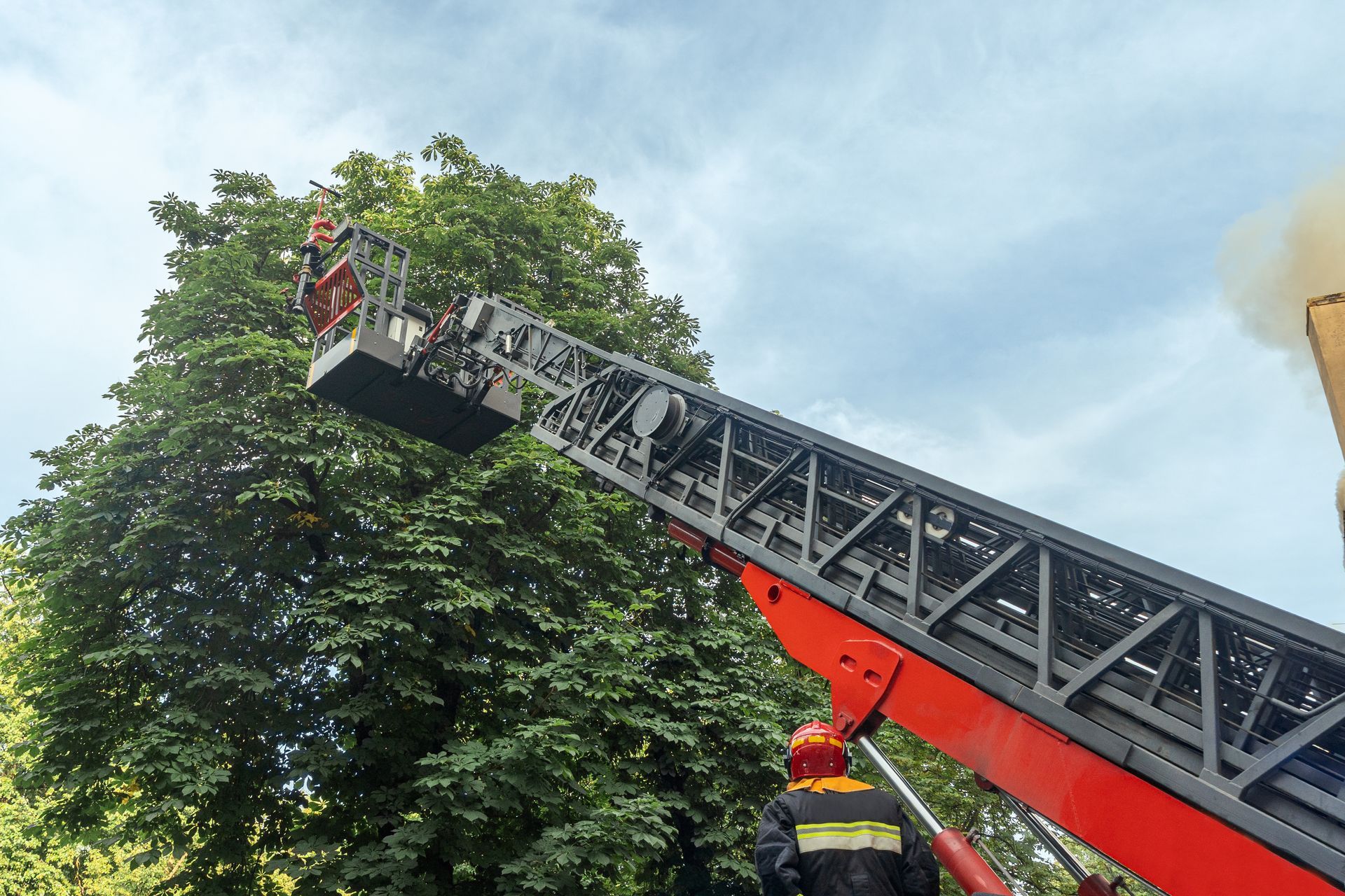 Fire truck ladder extended toward treetop, with a firefighter at the tip against a blue sky.