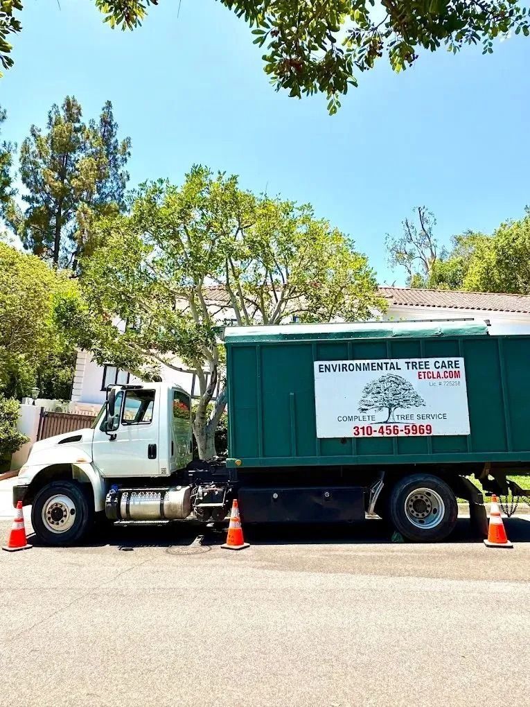 White utility truck with green dumpster trailer parked on a street under trees, with orange cones nearby