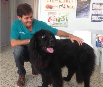 clinica veterinaria