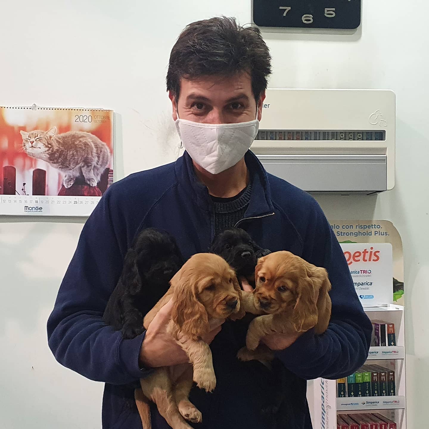 studio veterinario