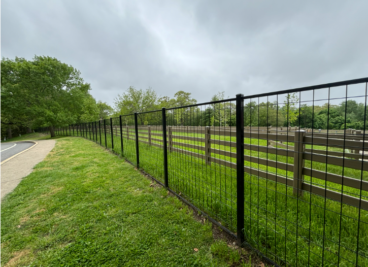 Black metal fence alongside a grassy area; wooden fence in the distance under cloudy sky.