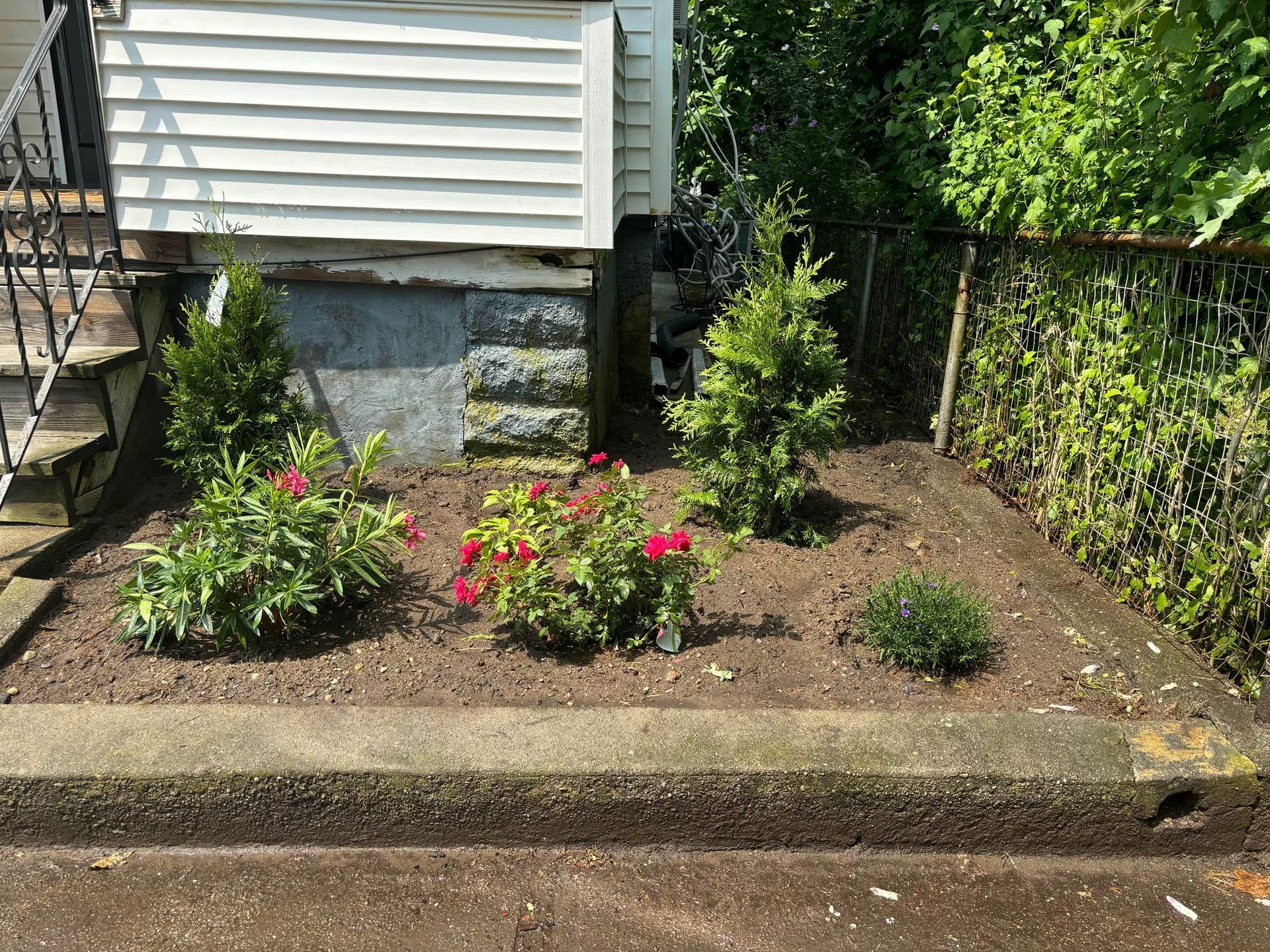 A small garden bed with various plants and small evergreen trees in front of a white building with stone foundation.