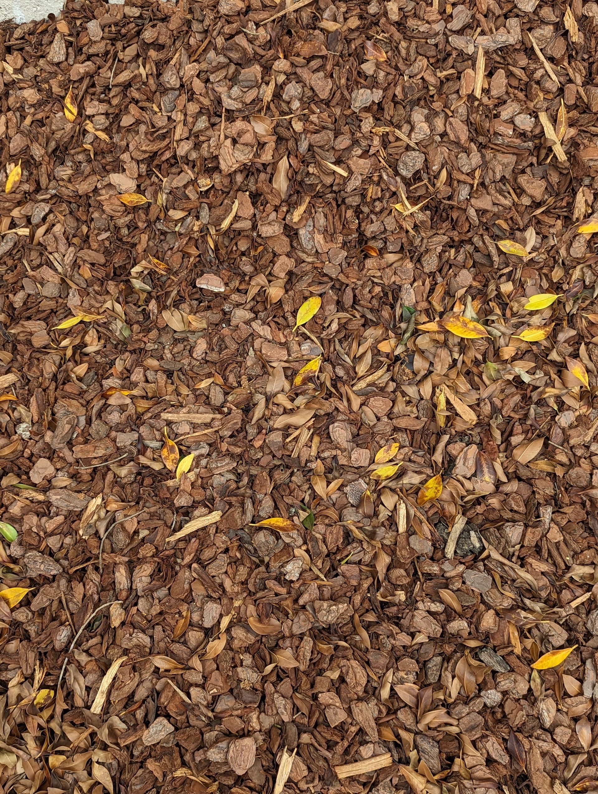 Mulch in Taree HKL Landscape Supplies