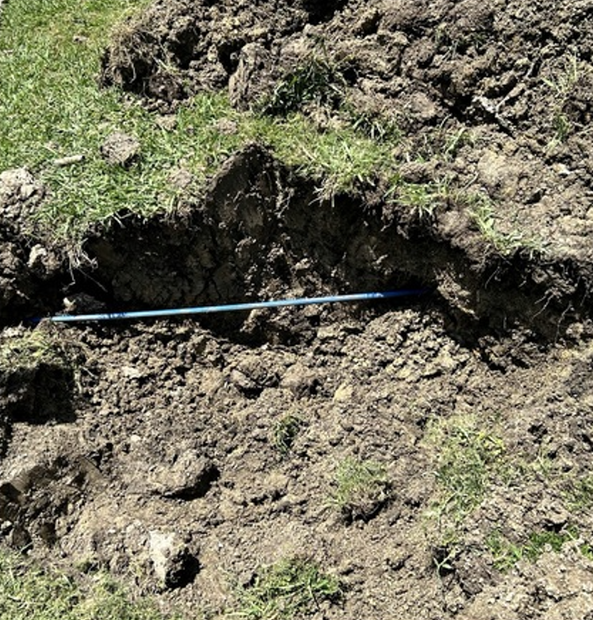 Blue cable or hose lying in a dirt trench beneath a grassy soil bank.