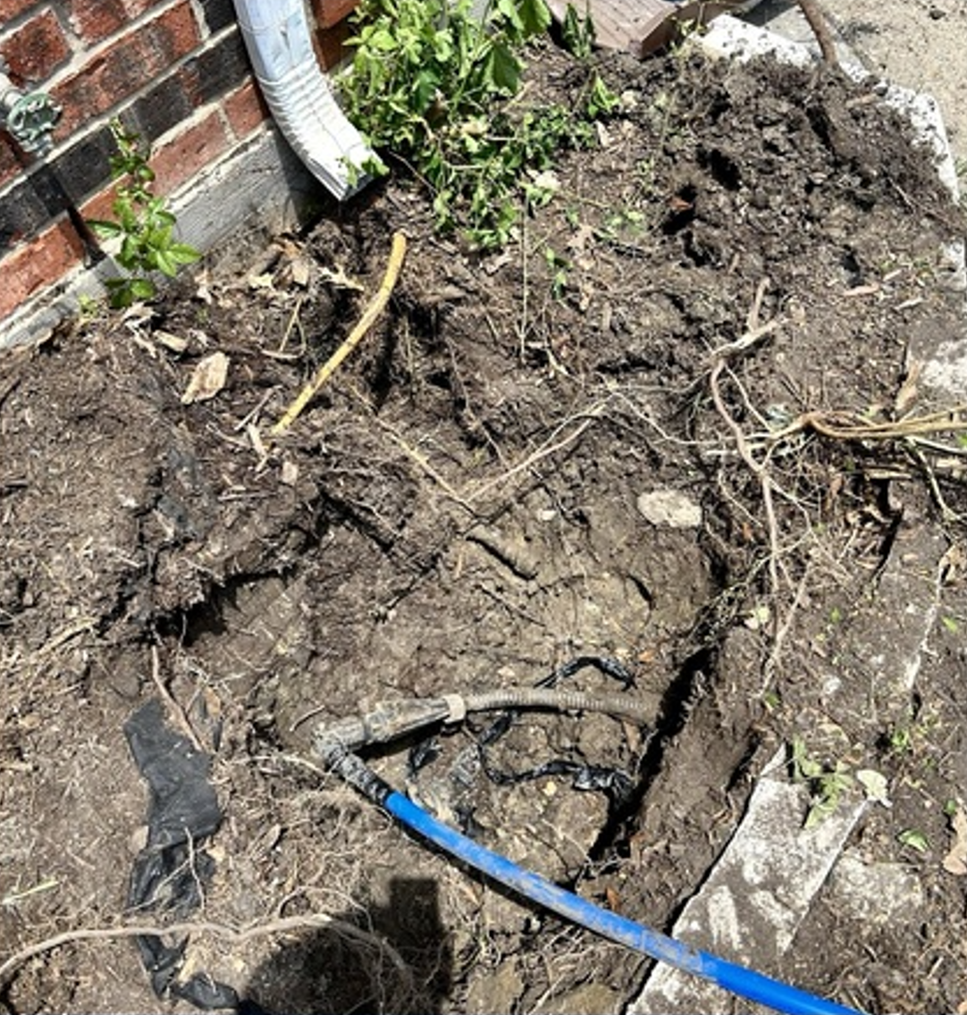 Exposed muddy ground beside a brick wall, with a blue hose and scattered roots.