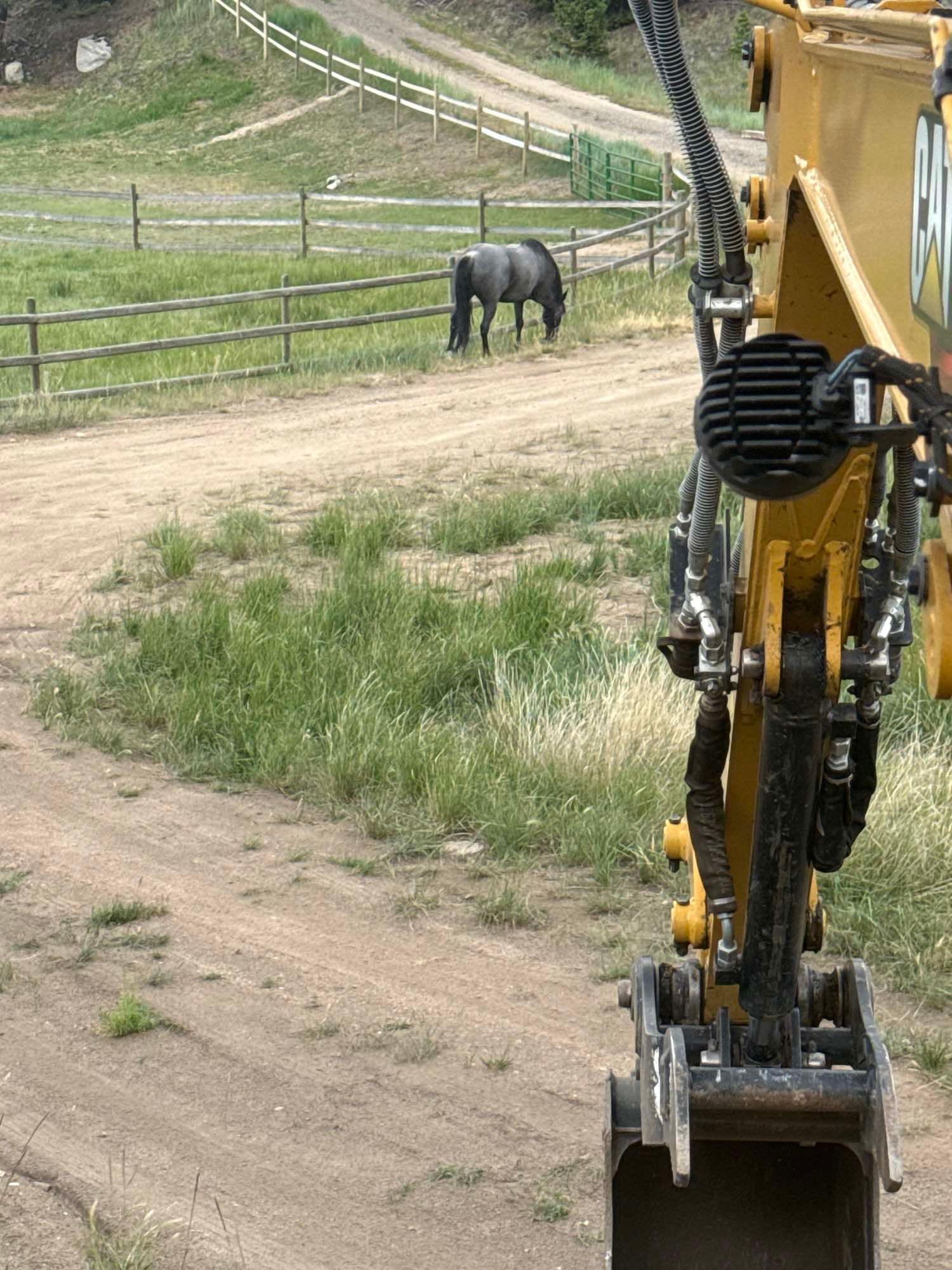 Yellow excavator bucket in foreground with a black horse grazing in a fenced dirt field behind it.