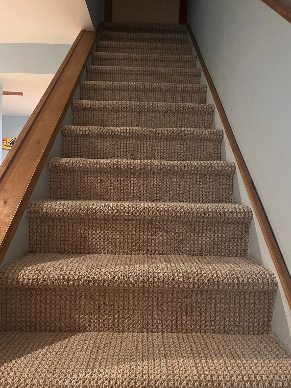 A set of stairs with carpeted steps by Floor Source