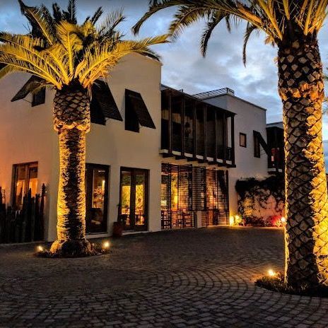 two palm trees are lit up in front of a building with the letter n on it