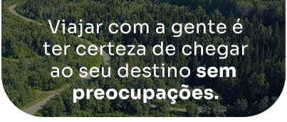 Uma vista aérea de uma estrada que atravessa uma floresta