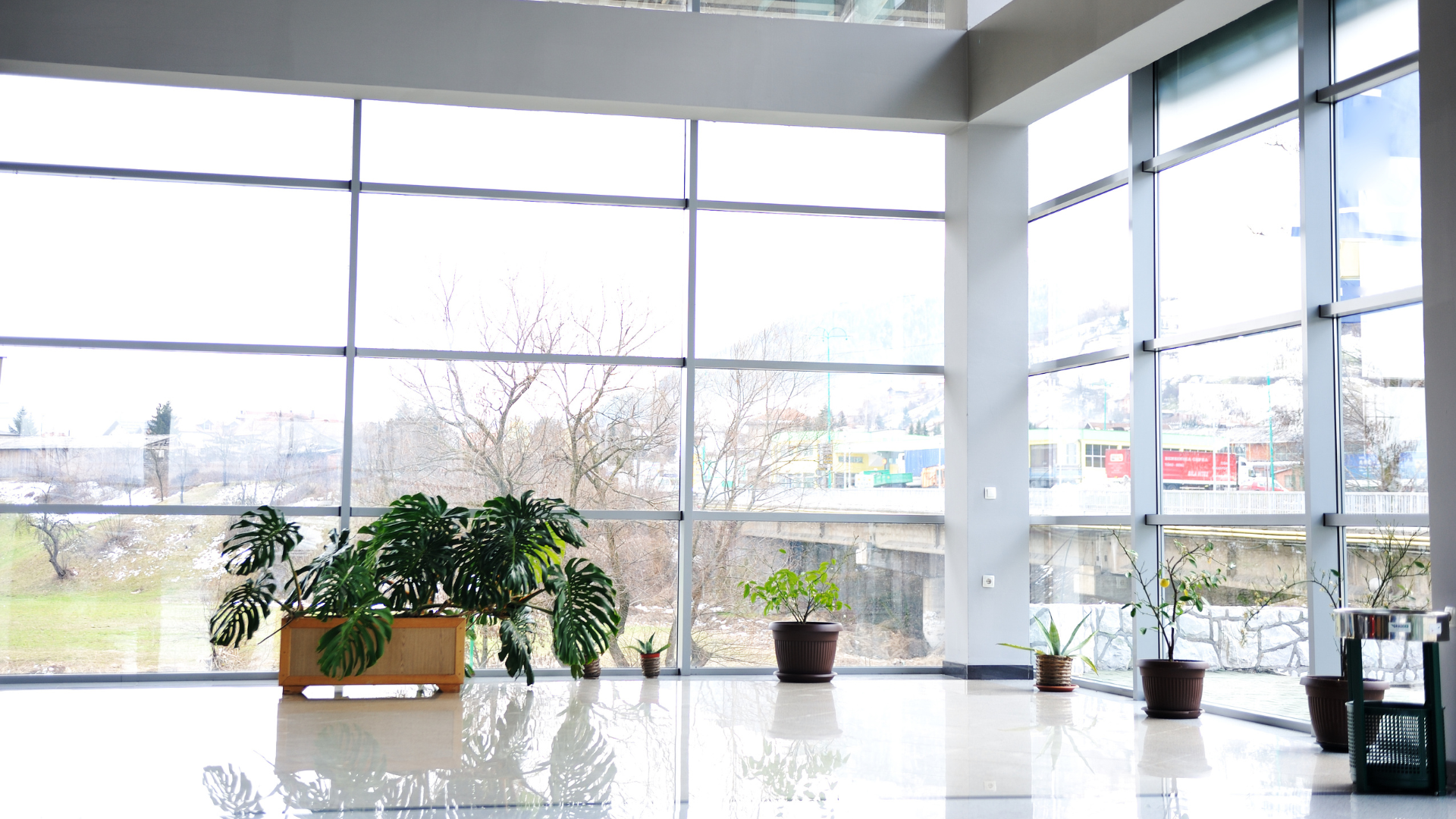 Large room with tall windows, potted plants, and a bright floor.