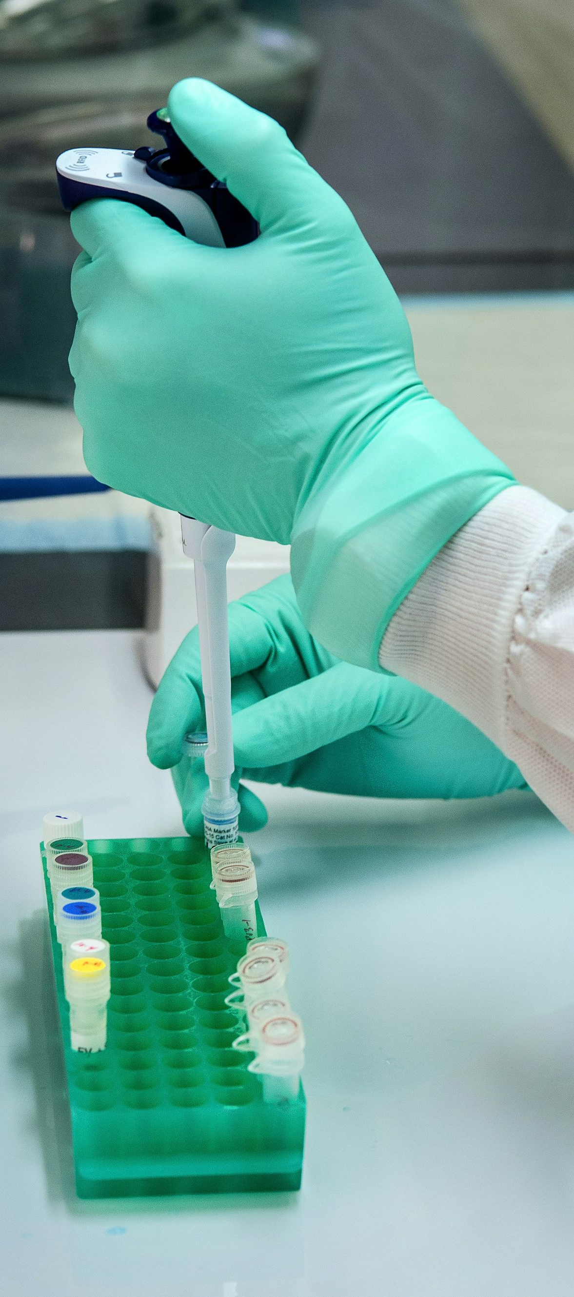 Gloved hands pipetting liquid into a green lab microplate in a laboratory