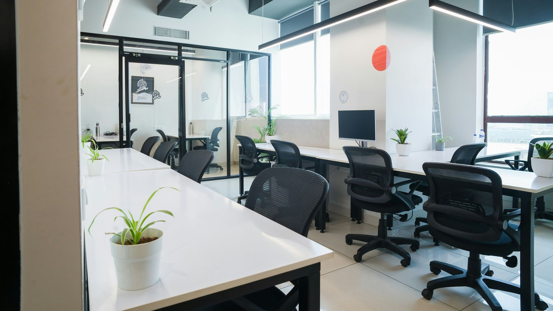 Modern open-plan office with desks, chairs, plants, and glass partitions in bright daylight