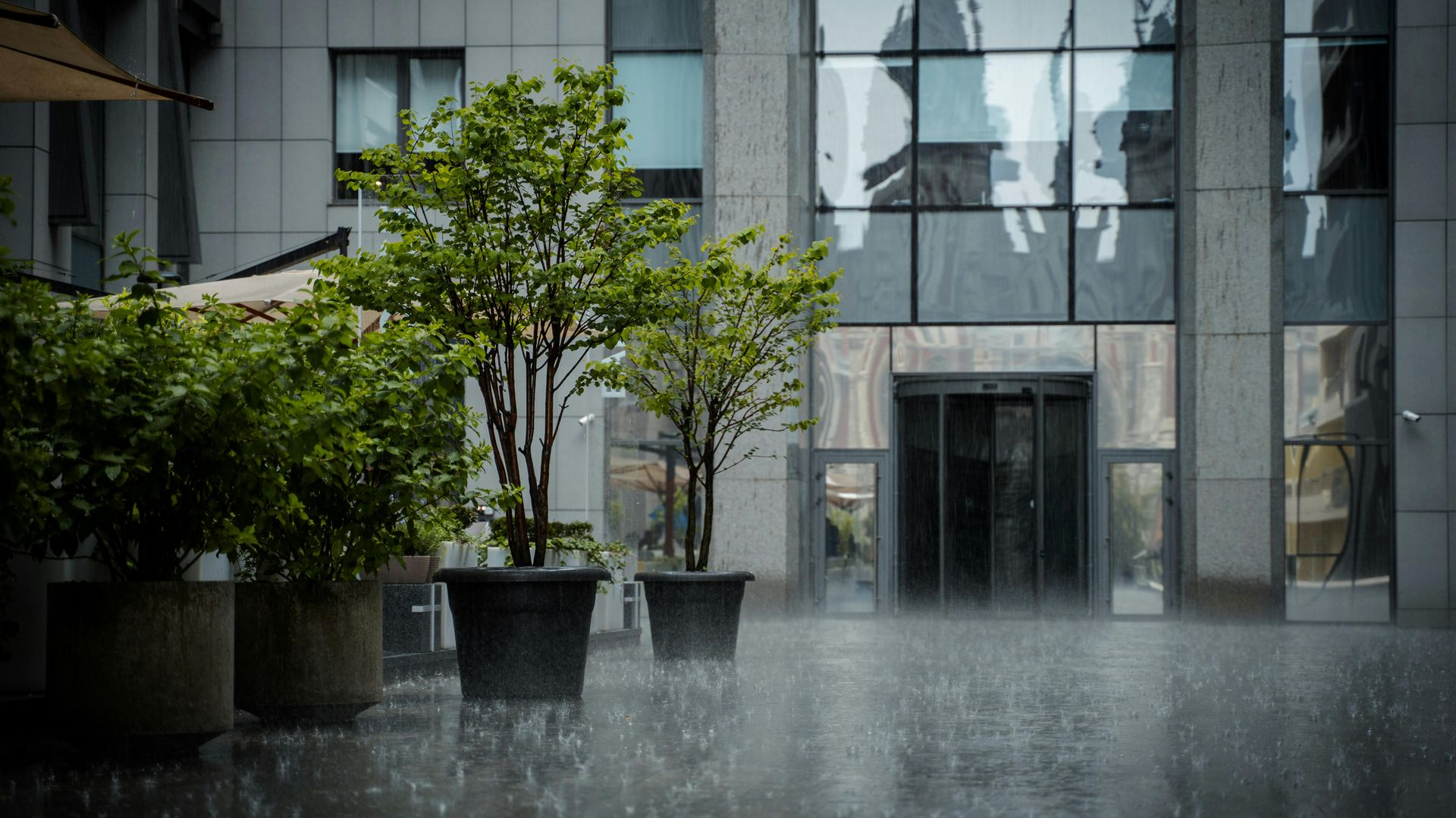 Rain-soaked modern building entrance with potted trees and wet pavement in front