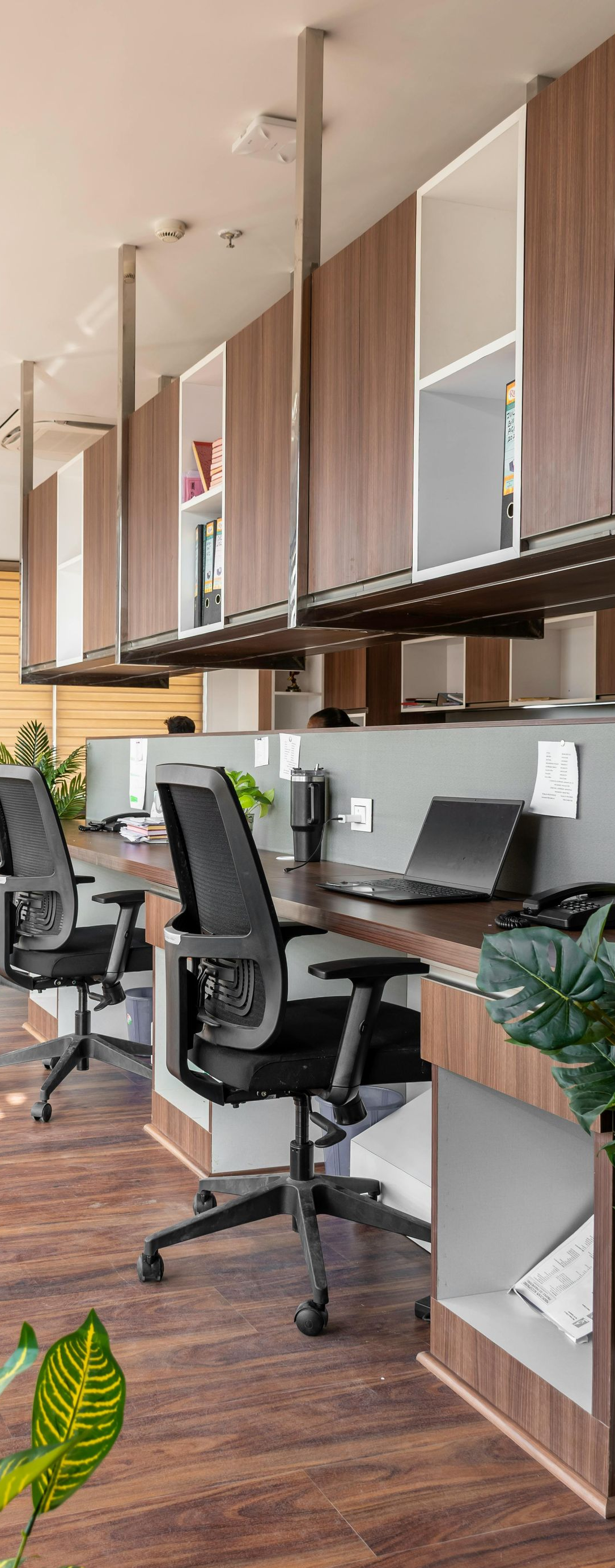 Modern office with rows of desks, black chairs, monitors, and wood-paneled cubicles on a hardwood floor.