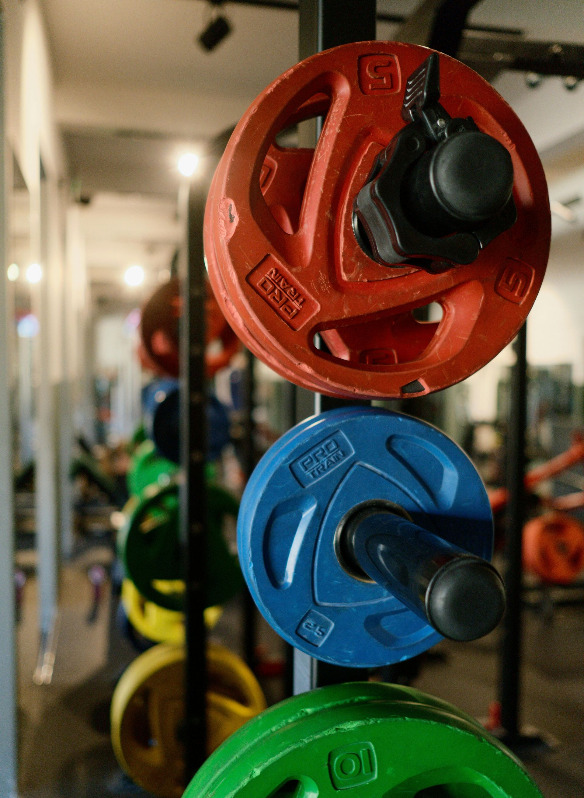 Vertical storage rack holding colorful red, blue, green, and yellow weight plates in a gym setting.