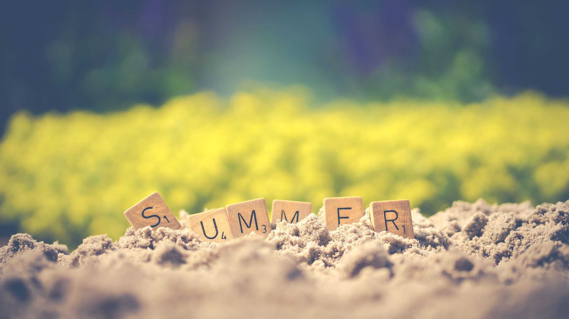 Scrabble tiles spelling “SUMMER” in sand with a blurred yellow flower field behind
