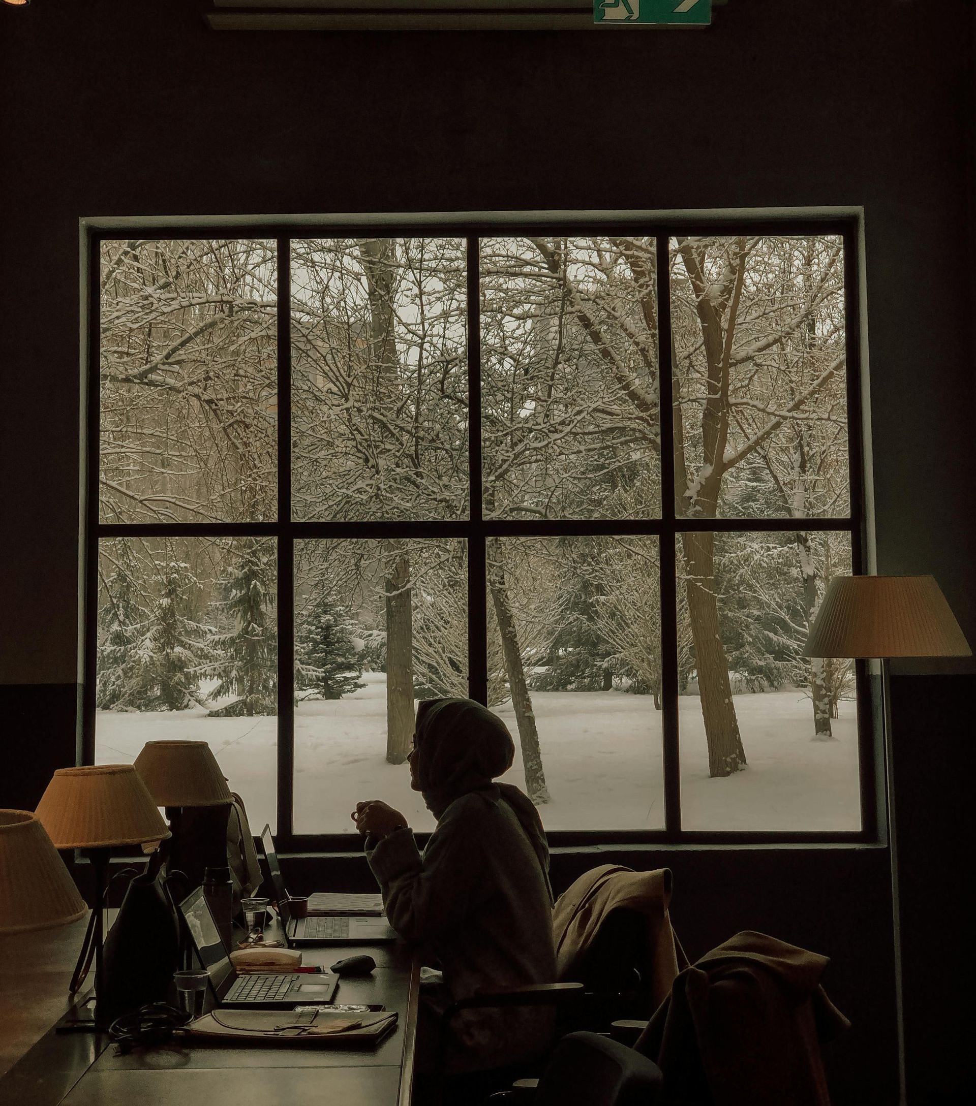 Silhouetted person at a table by a large window, with snowy trees outside and warm indoor lighting.