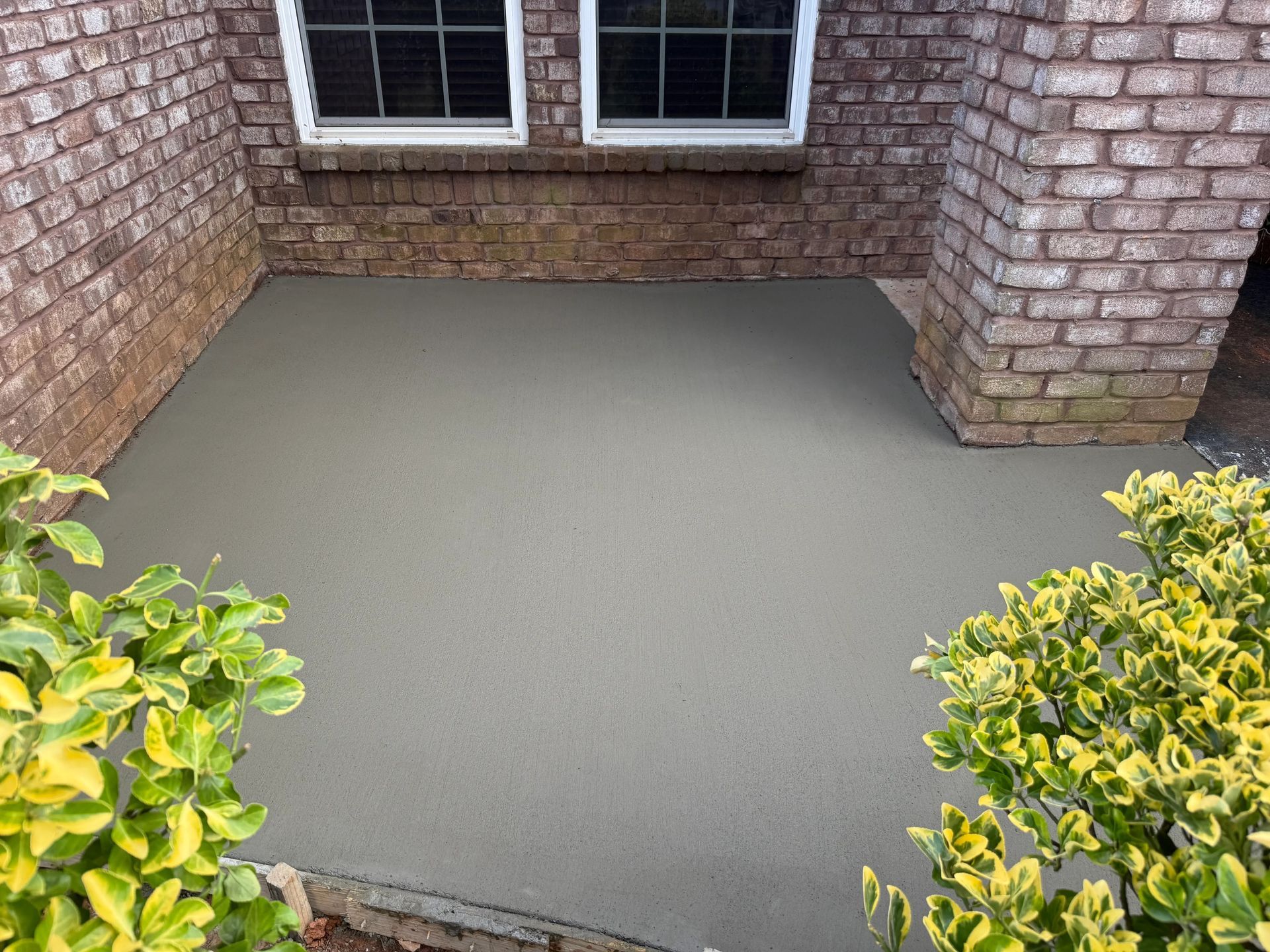 Fresh gray concrete patio between brick walls beneath a window, bordered by green shrubs