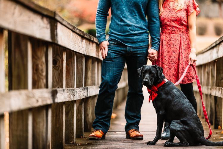 A man and a woman are walking a black dog on a leash on a bridge.
