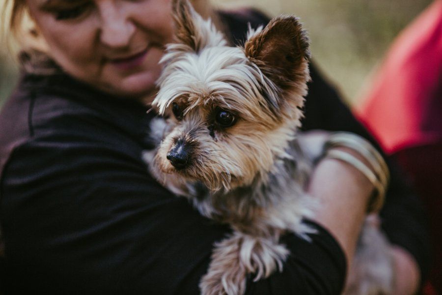 A woman is holding a small dog in her arms.