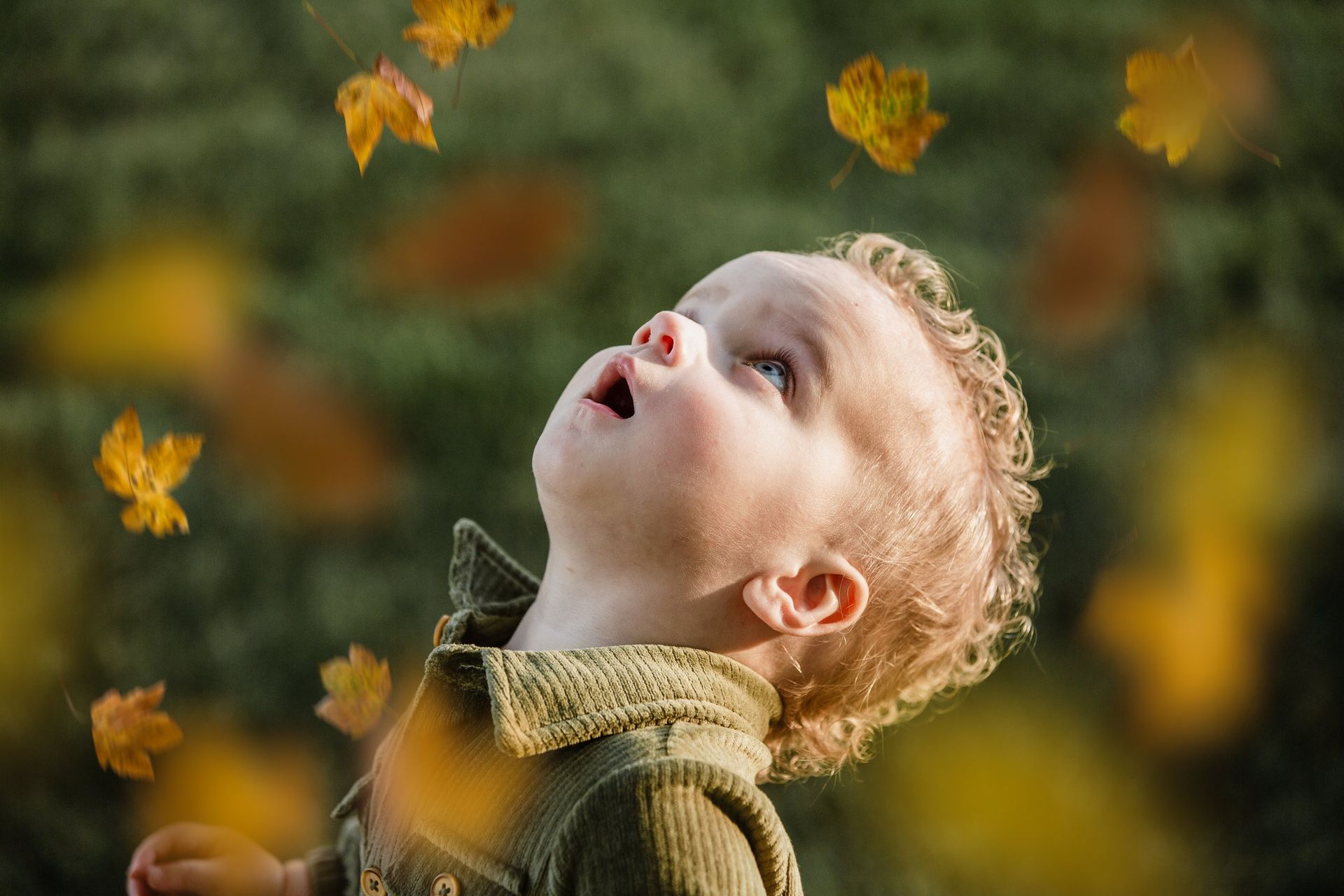 A baby is looking up at leaves falling in the air.