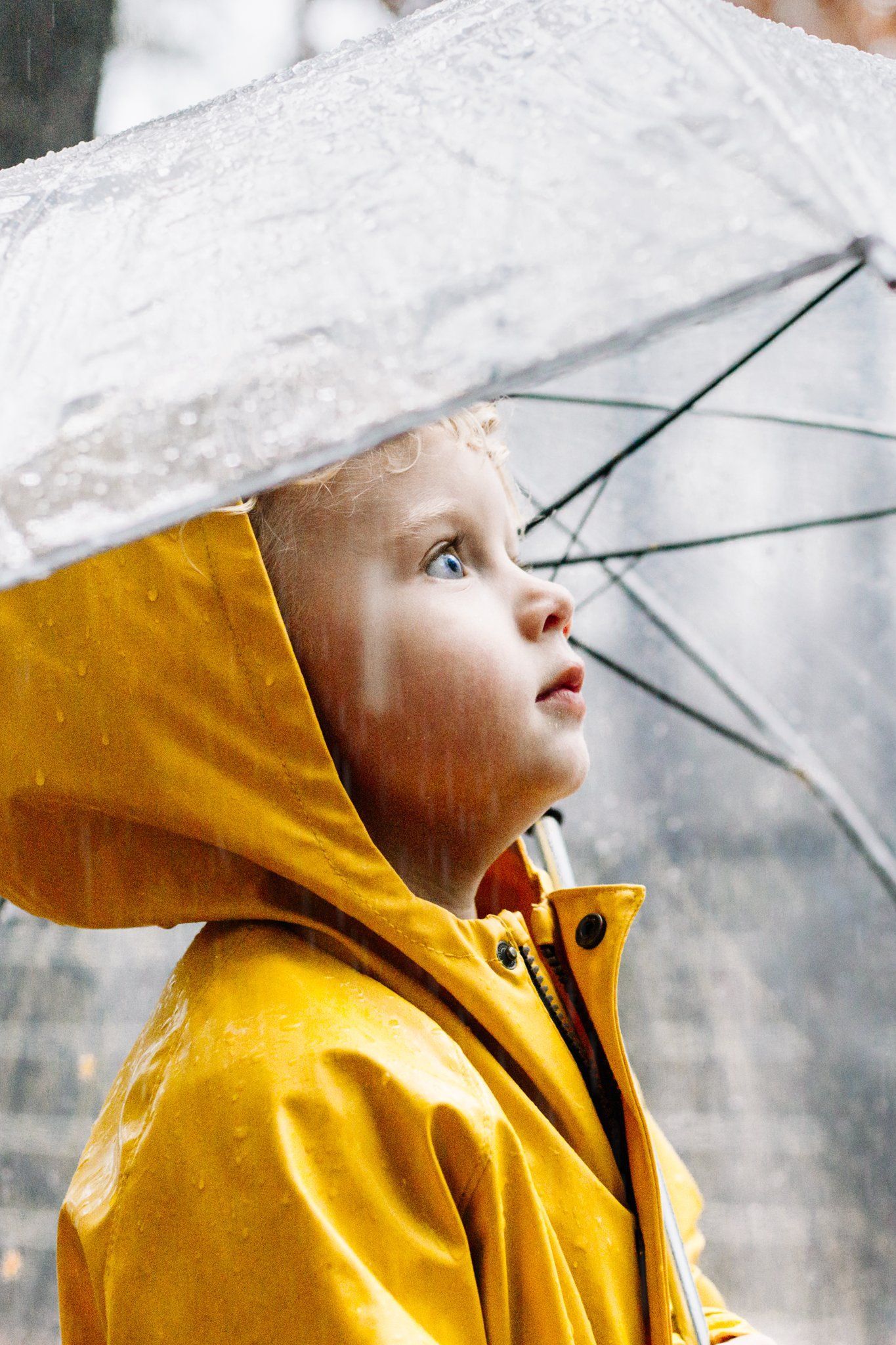 A little boy in a yellow raincoat is holding an umbrella in the rain.