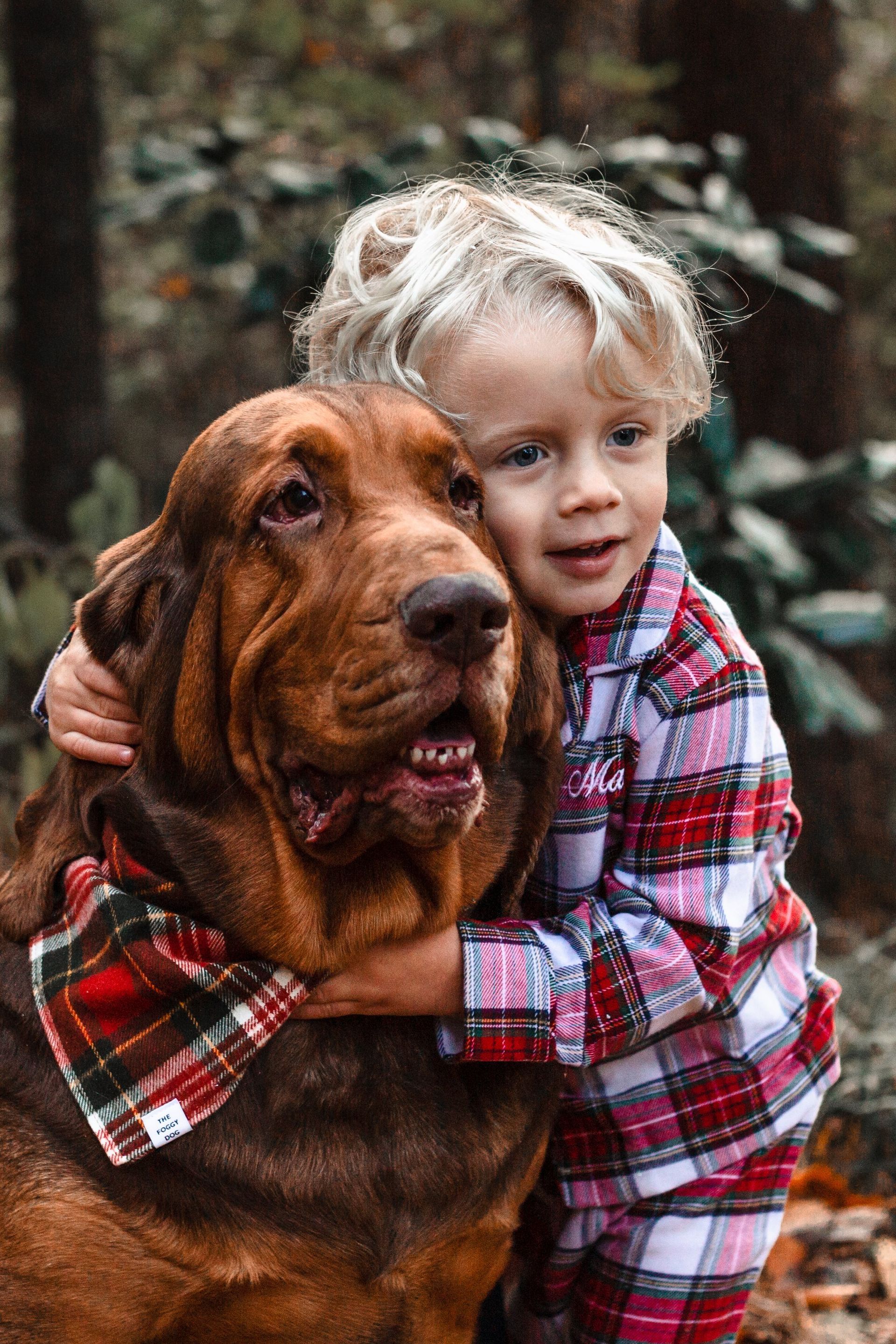 A little boy is hugging a large brown dog in the woods.