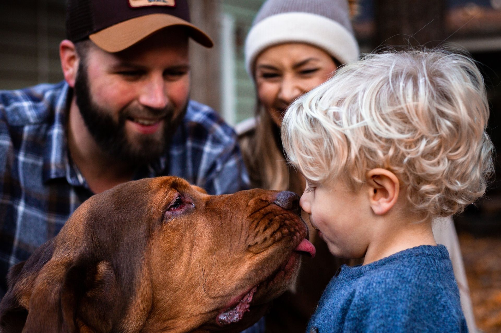 A man , woman and child are looking at a dog.