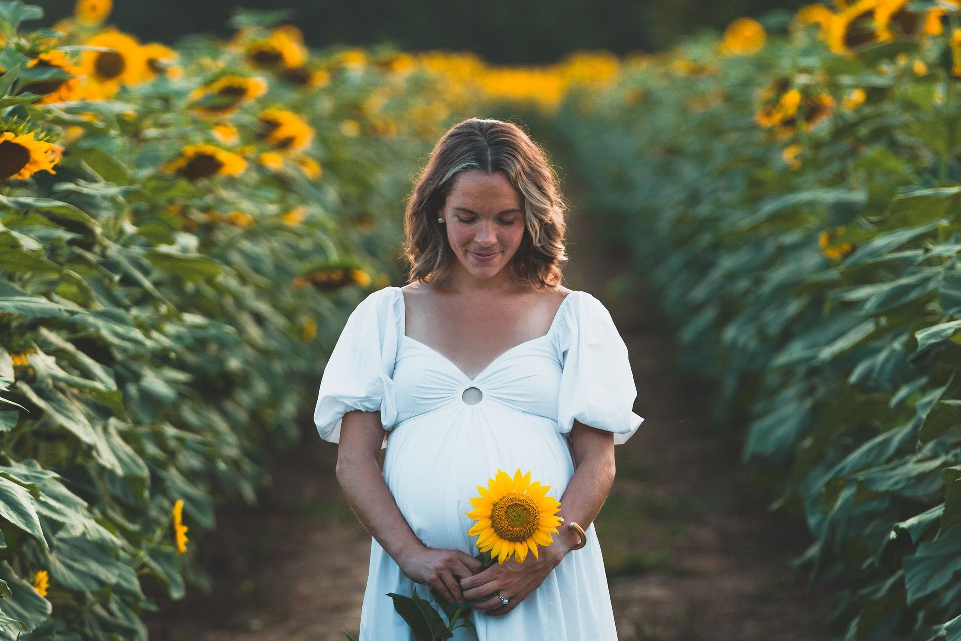 A pregnant woman in a white dress is holding a sunflower in a field of sunflowers.