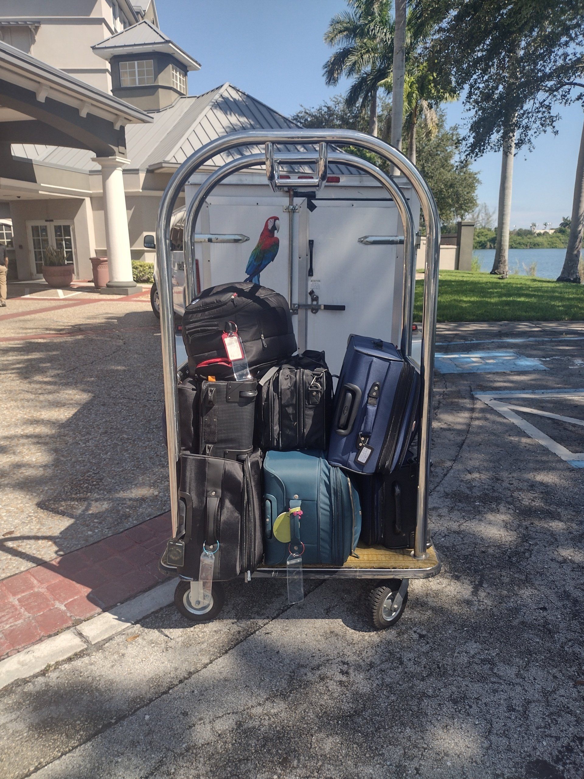 A luggage cart with a parrot on top of it