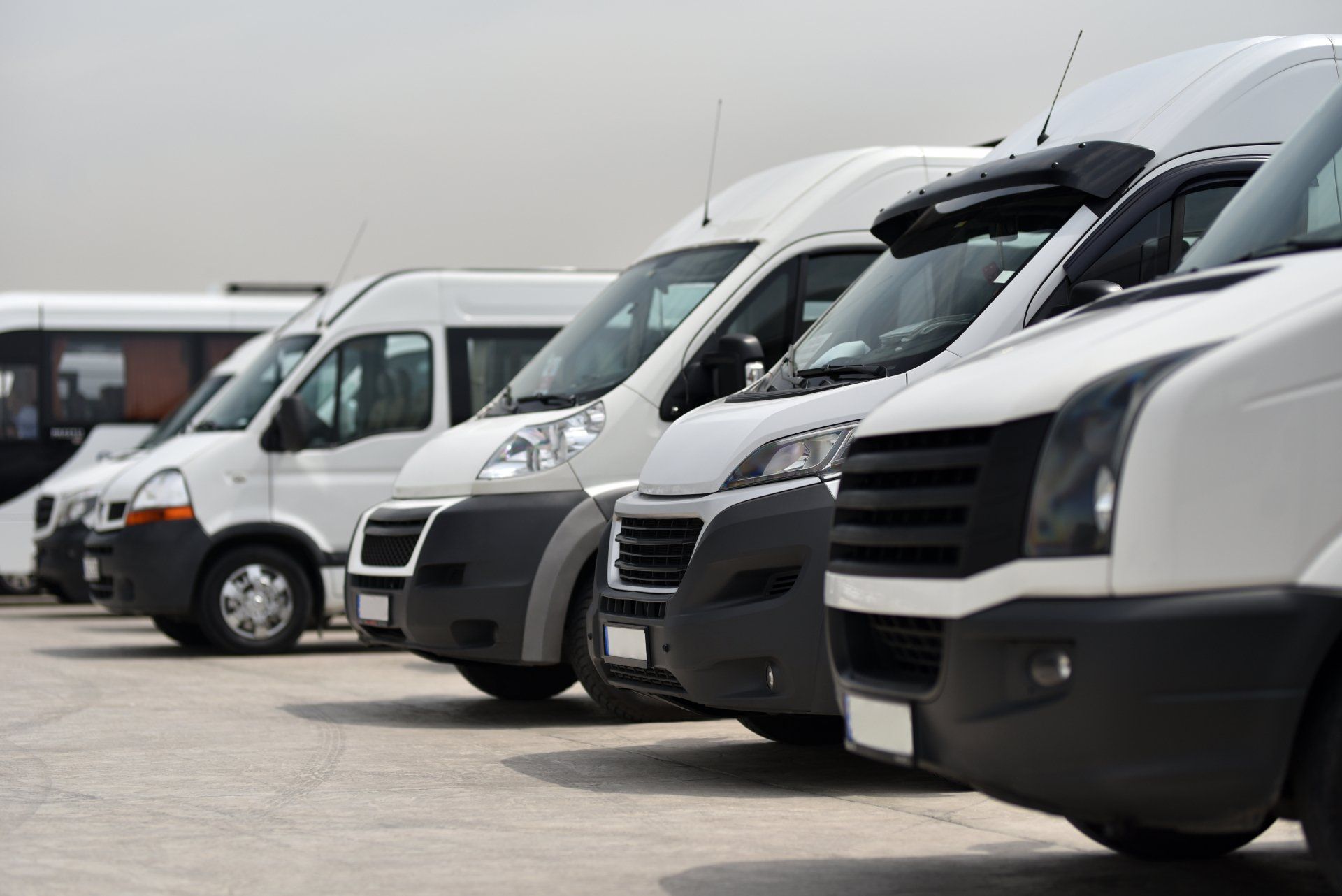 Rental service of minibus and small bus. White microbuses parked in row